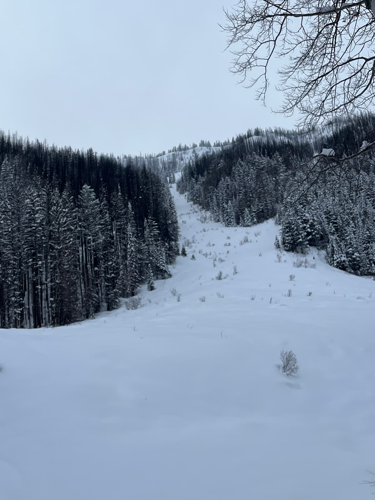 Avalanche path we were on top of, but decided not to ski.
