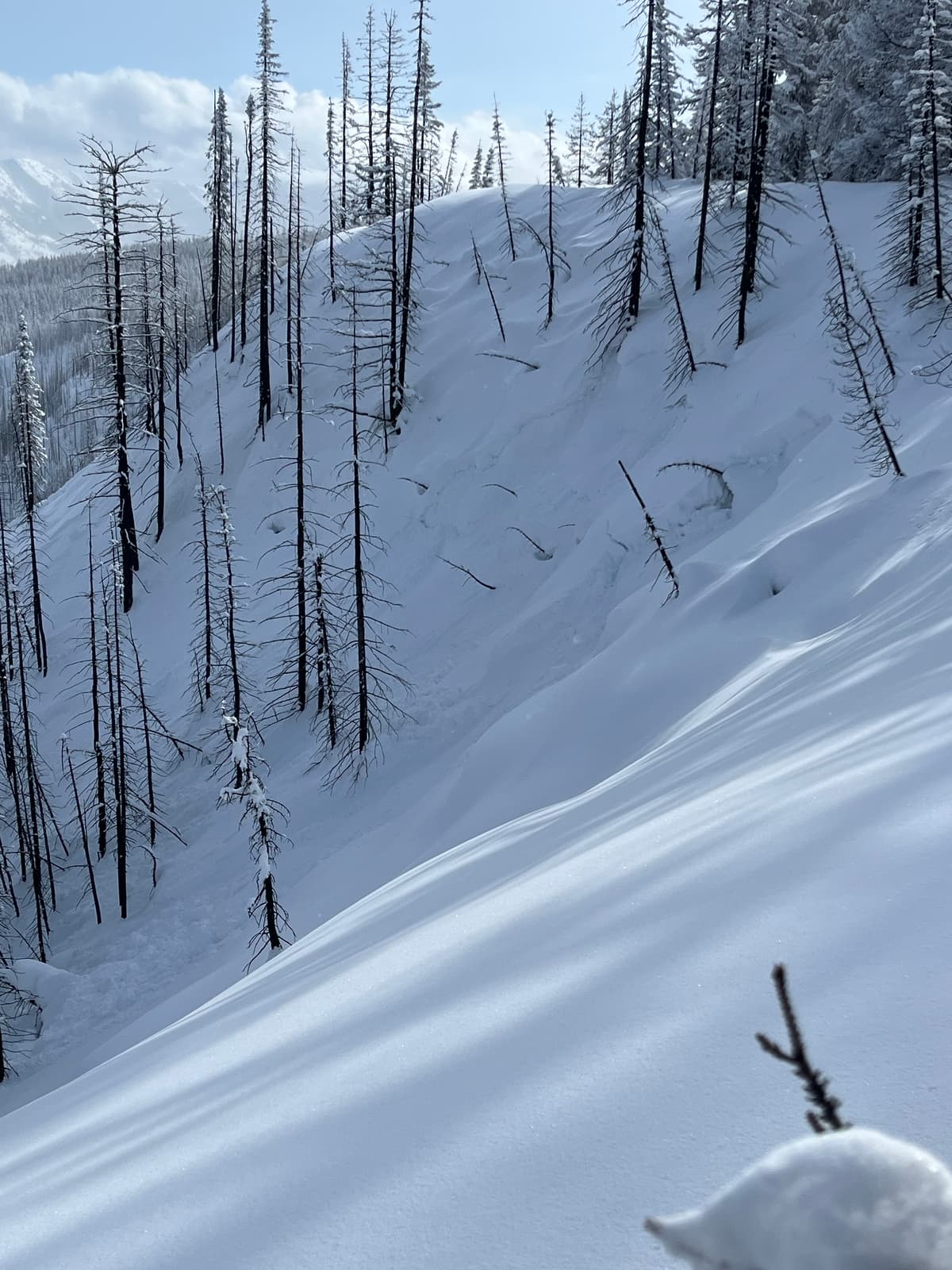 Remote triggered Sz1 in steep terrain off the ridge. 40cm deep, triggered from 60m away. Ran through tight trees