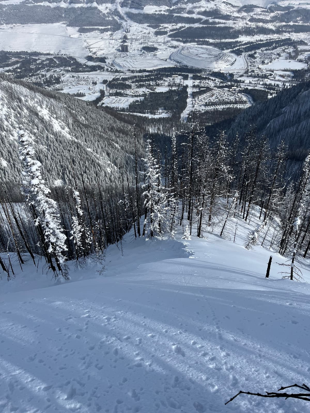 Flank of the remote Sz1