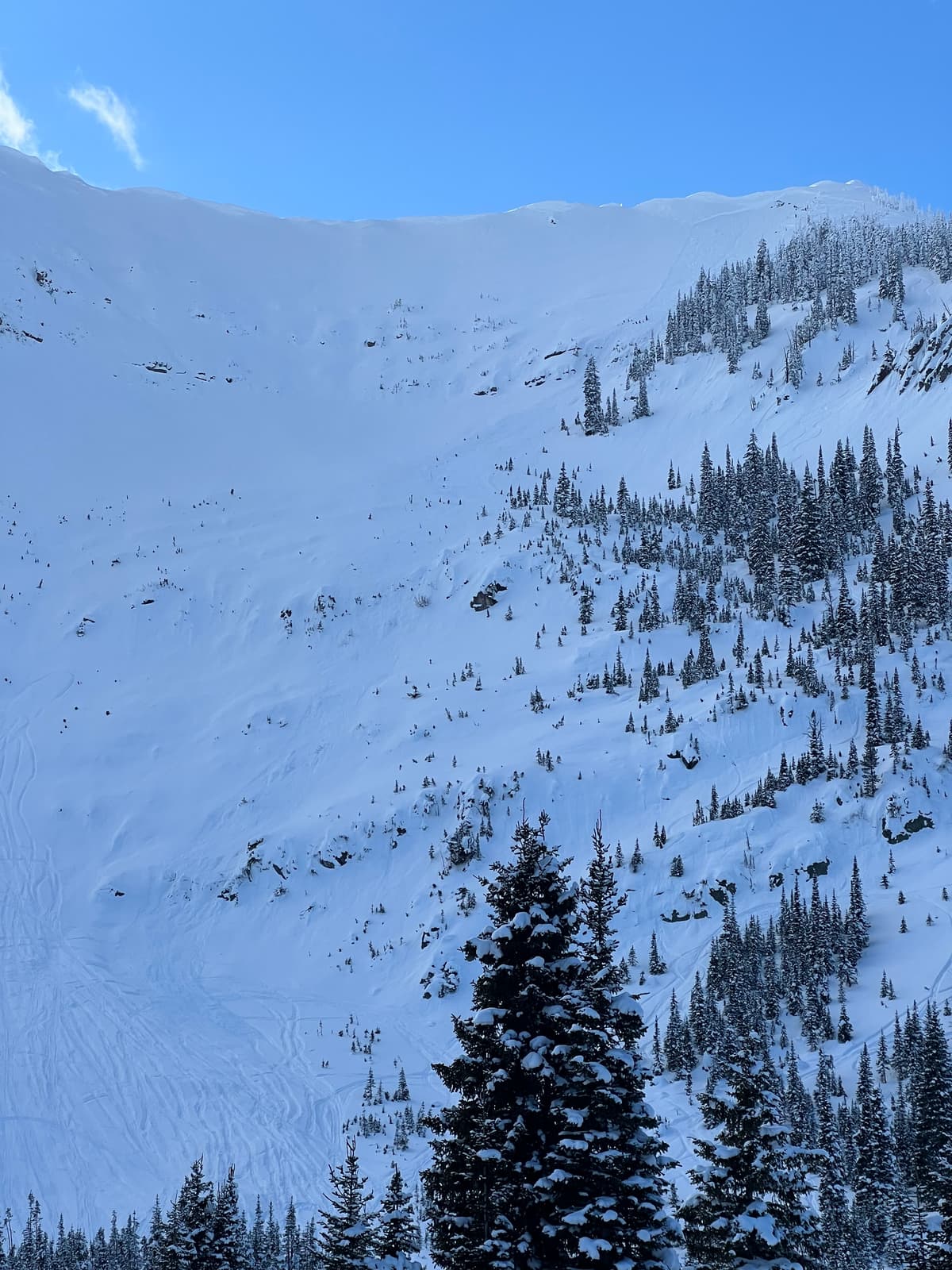 Crown top right