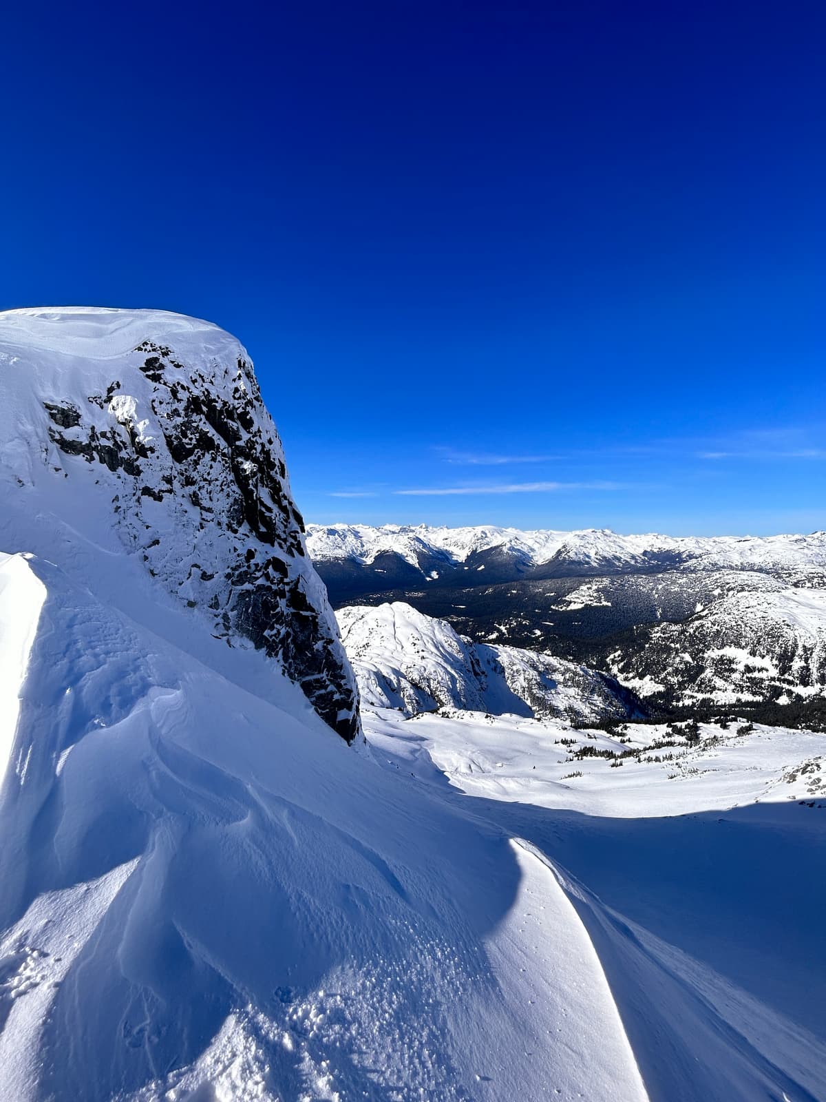 Generally wind affected in exposed alpine features