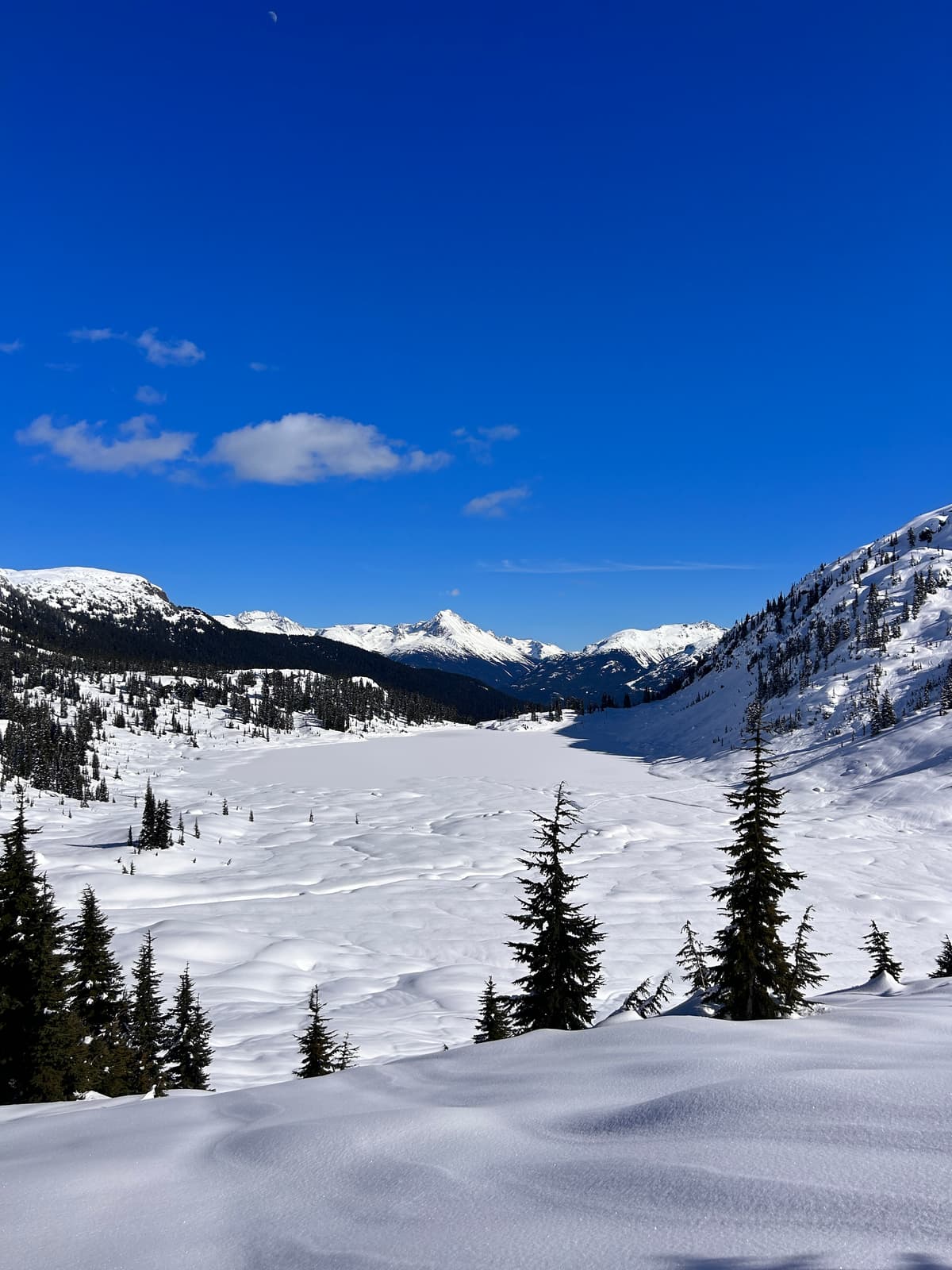 Skiing below 1800m in solar aspects is a melting crust and produced very hazardous ski quality. Snowboarders seem to mind it less…