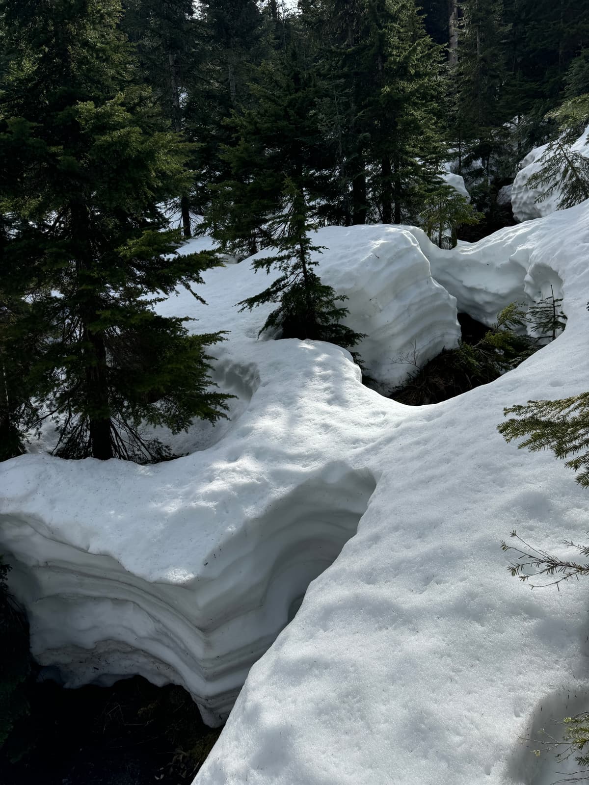Hazardous creek crossings